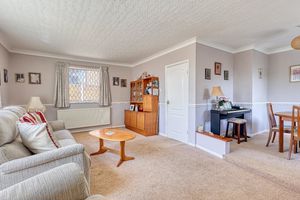 Lounge- click for photo gallery